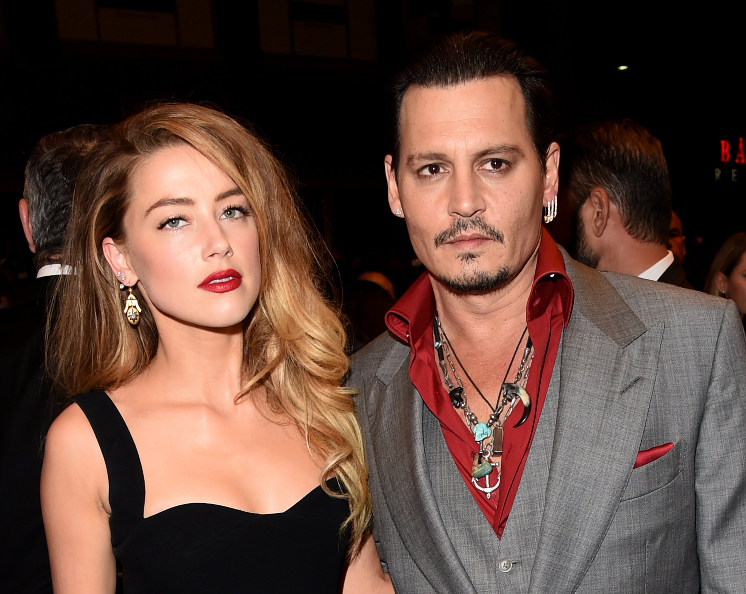 Johnny Depp and Amber Heard Divorce: Who Will Get Custody of Dogs ...