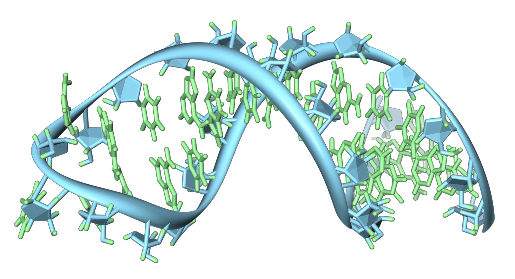 CRISPR used to edit RNA