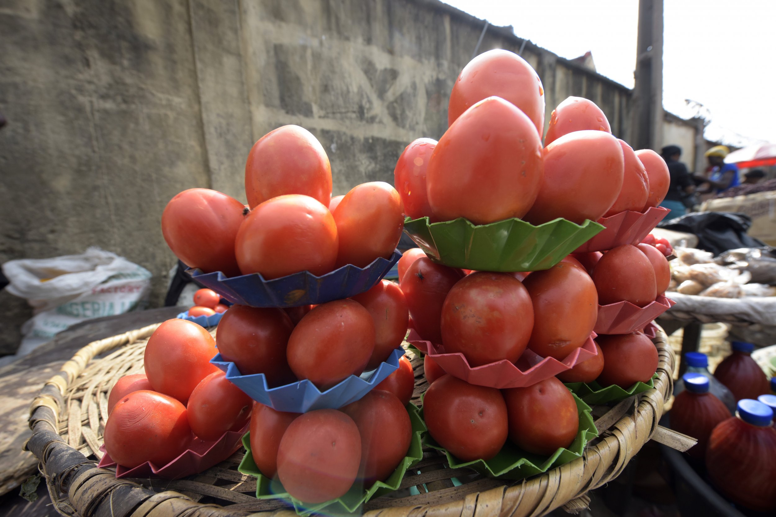 Nigeria tomatoes for sale