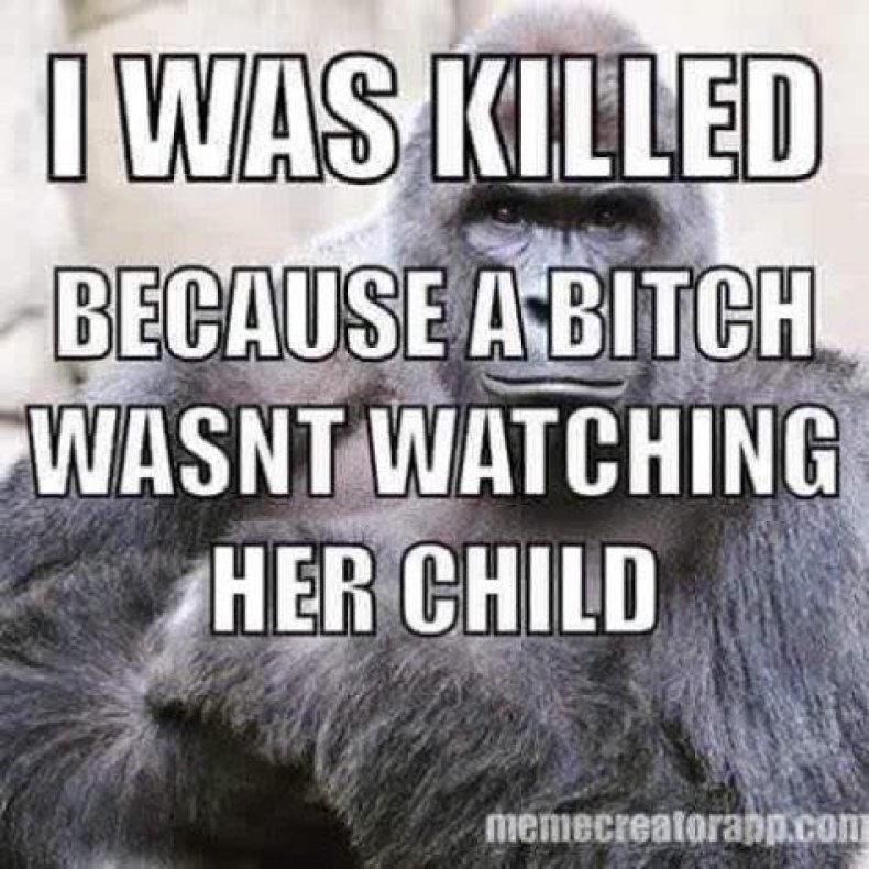 06_08_Gorilla_dead_01 06_08_Gorilla_dead_01