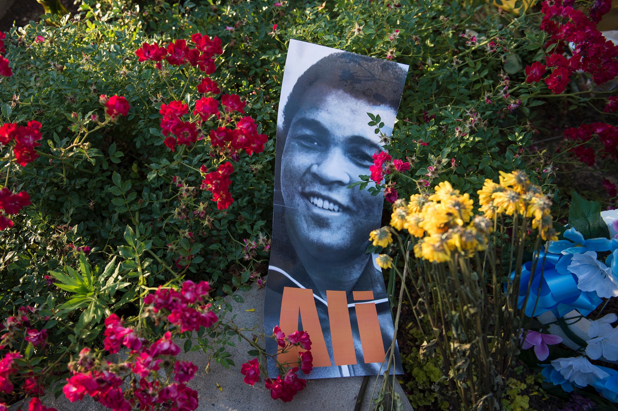 Muhammad Ali memorial in Louisville