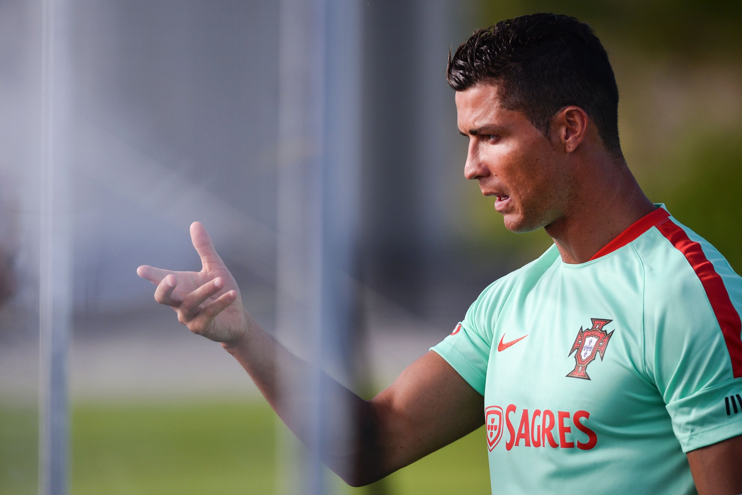 Portugal star Cristiano Ronaldo.