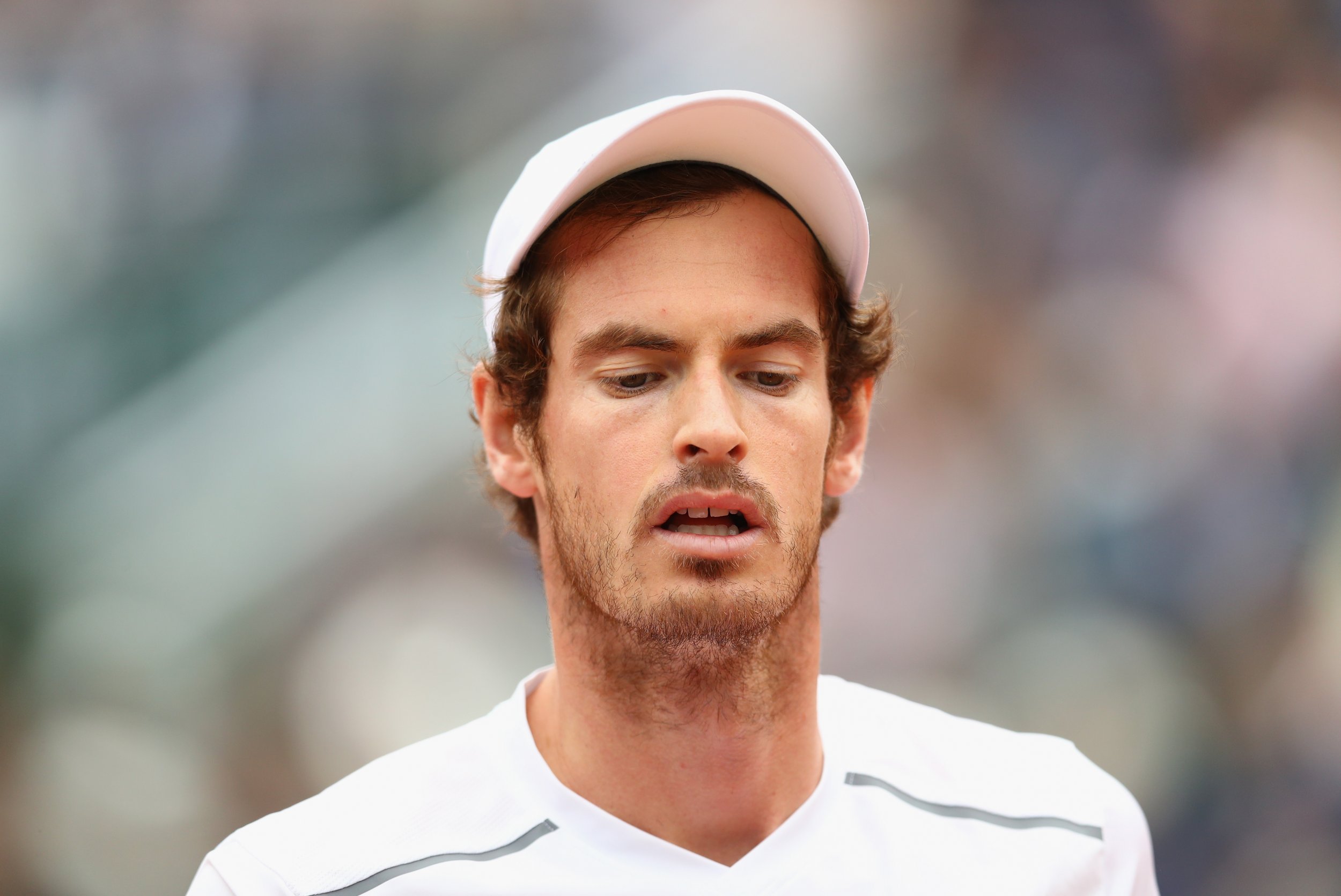 British number one tennis player Andy Murray.