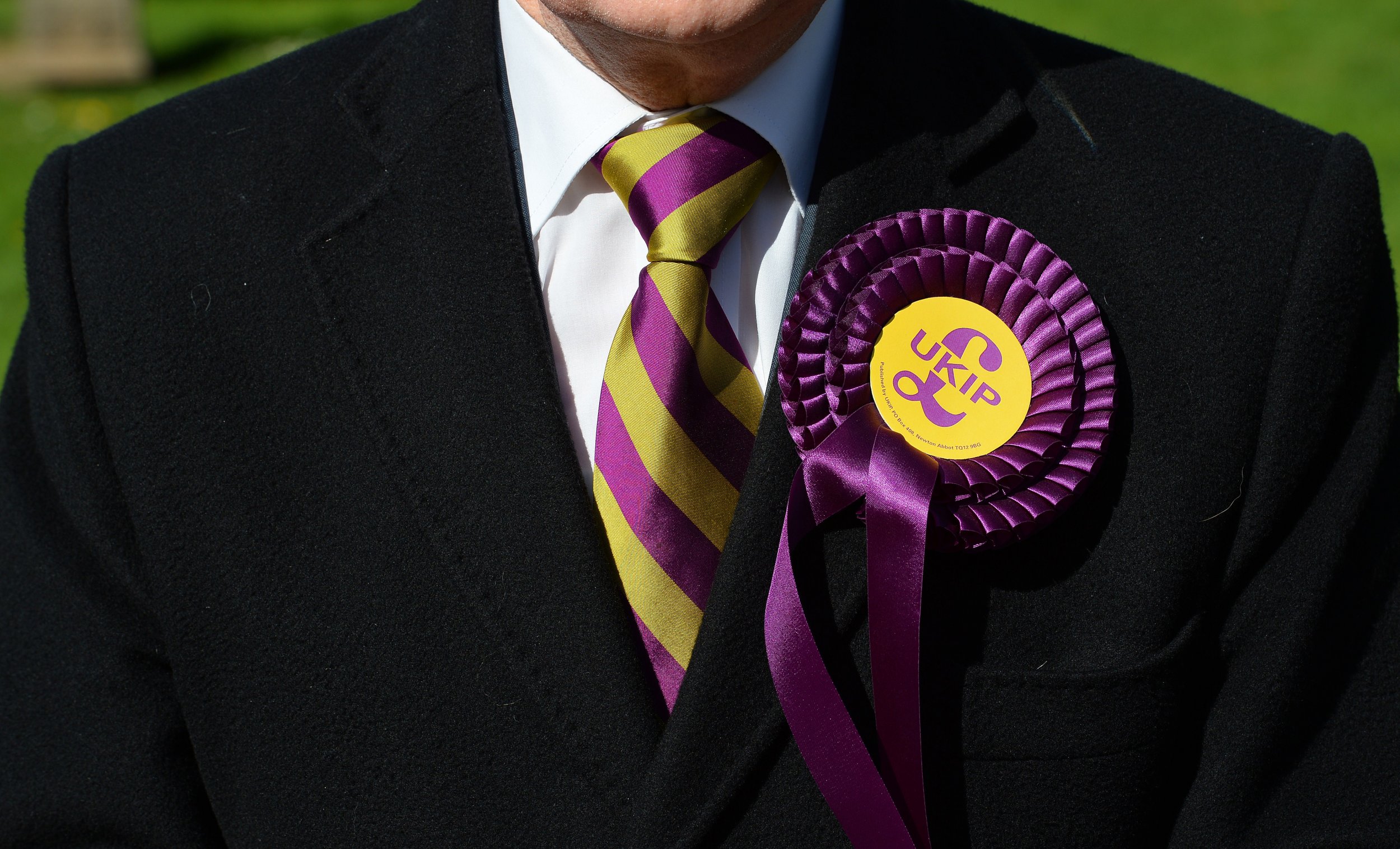 UKIP rosette
