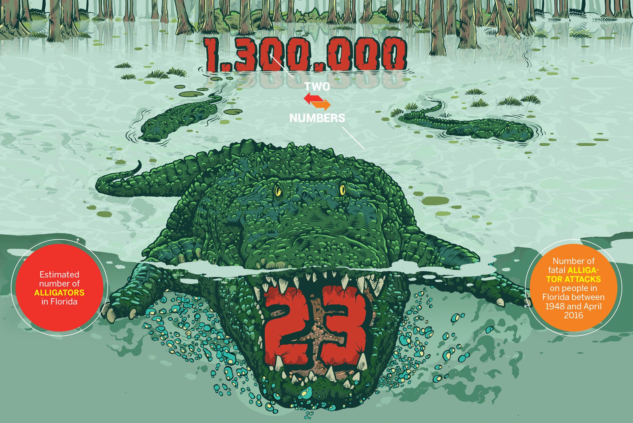 How Many Alligator Attacks Per Year?