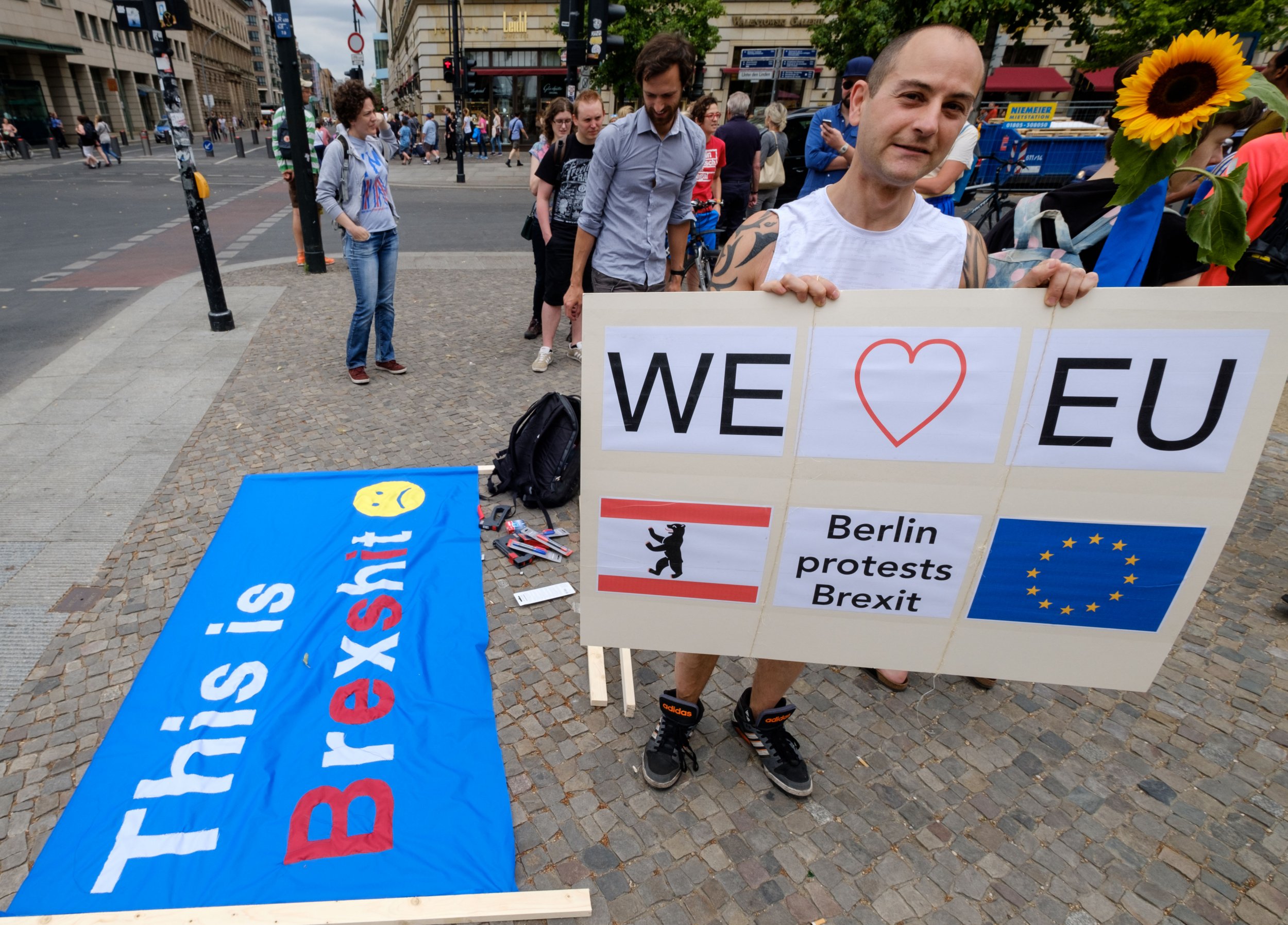 Brexit protest