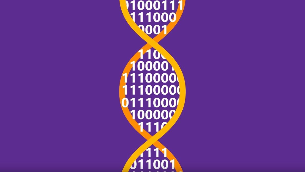 dna data storage microsoft research