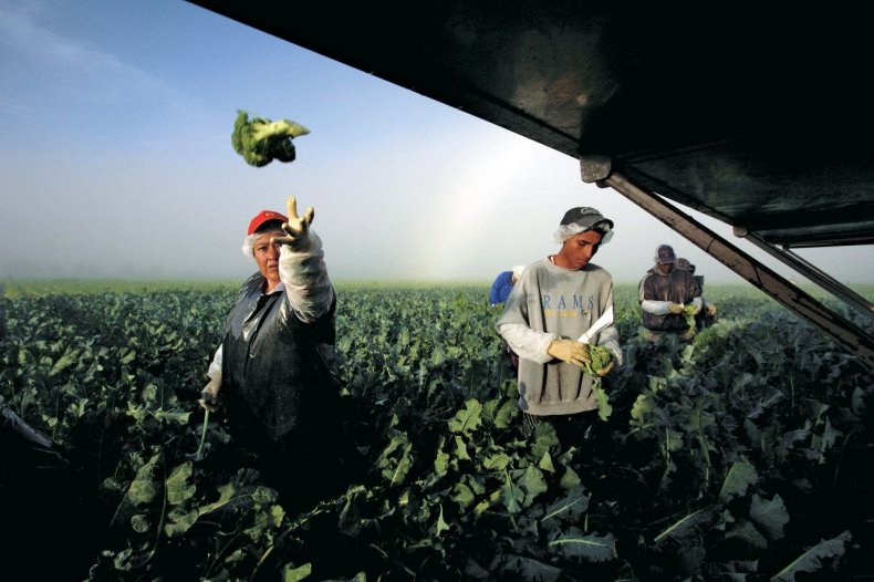 dickey-big-think-CO02-agriculture