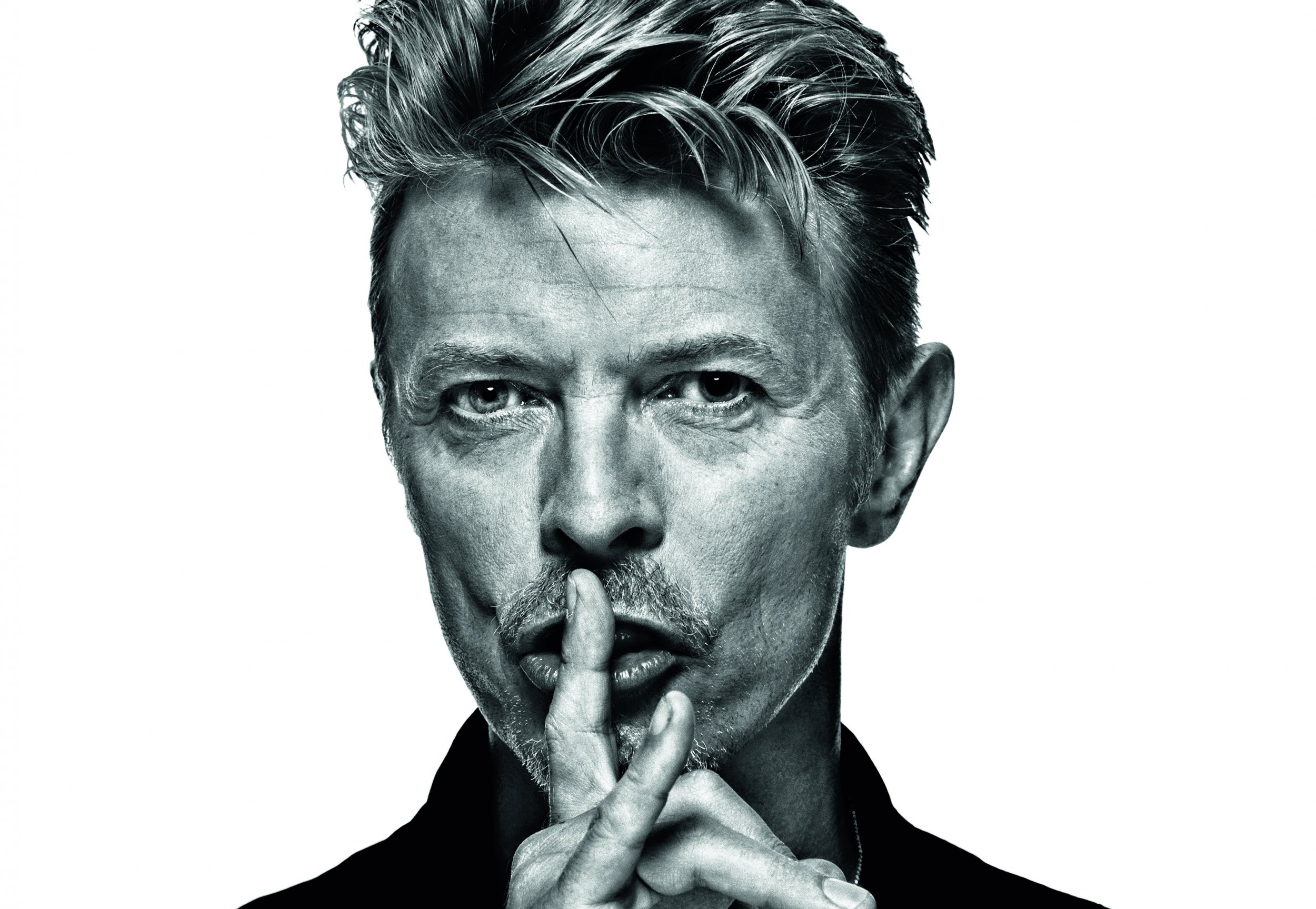 David Bowie portrait
