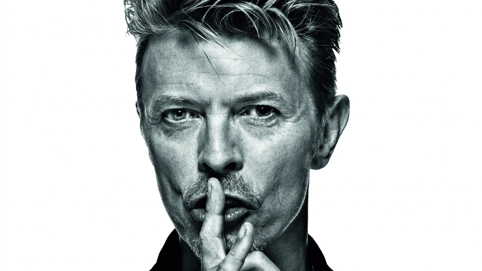 David Bowie Potrait\|240