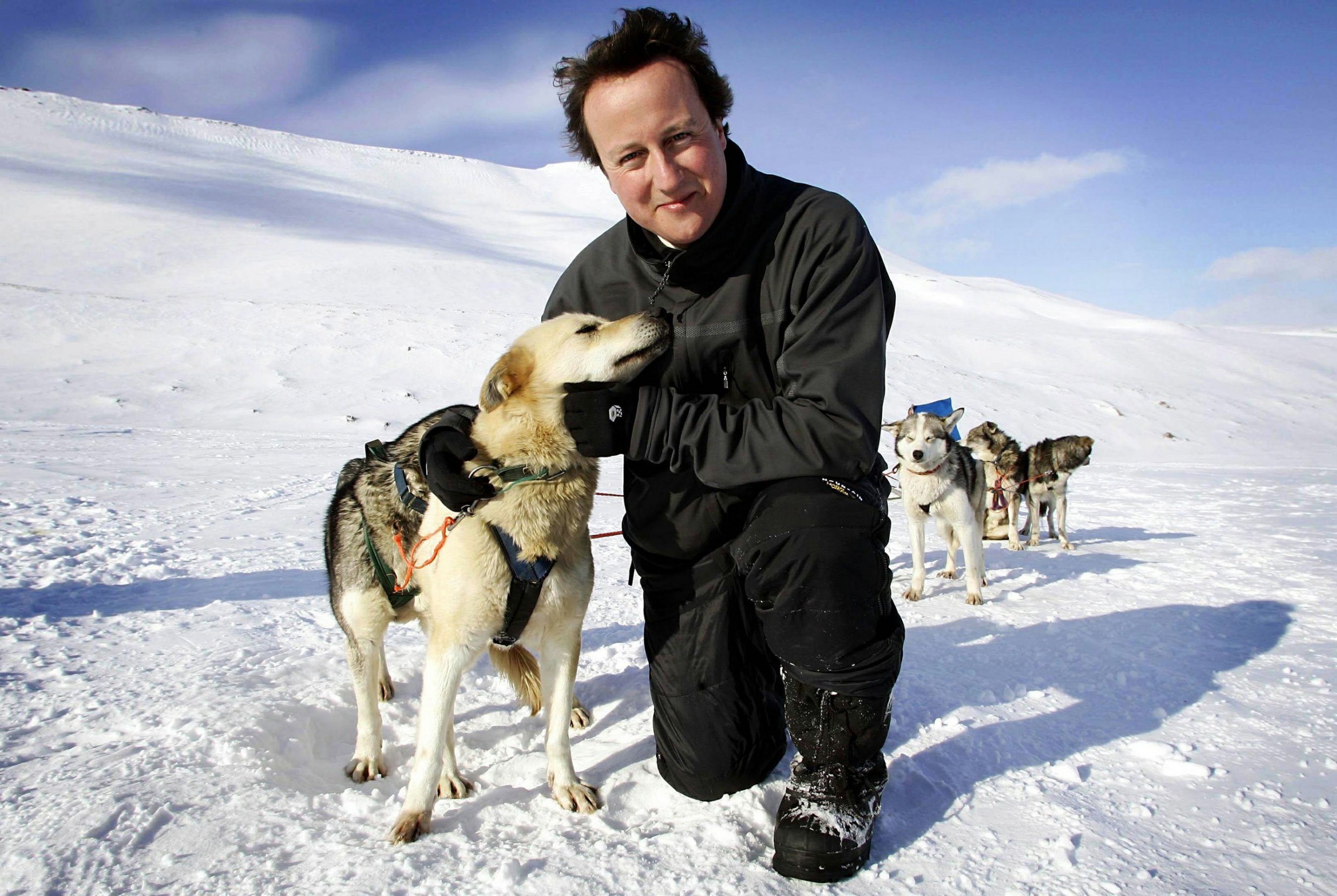 David Cameron Husky