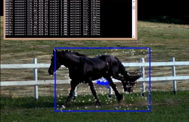 horse HABIT translate nottingham university