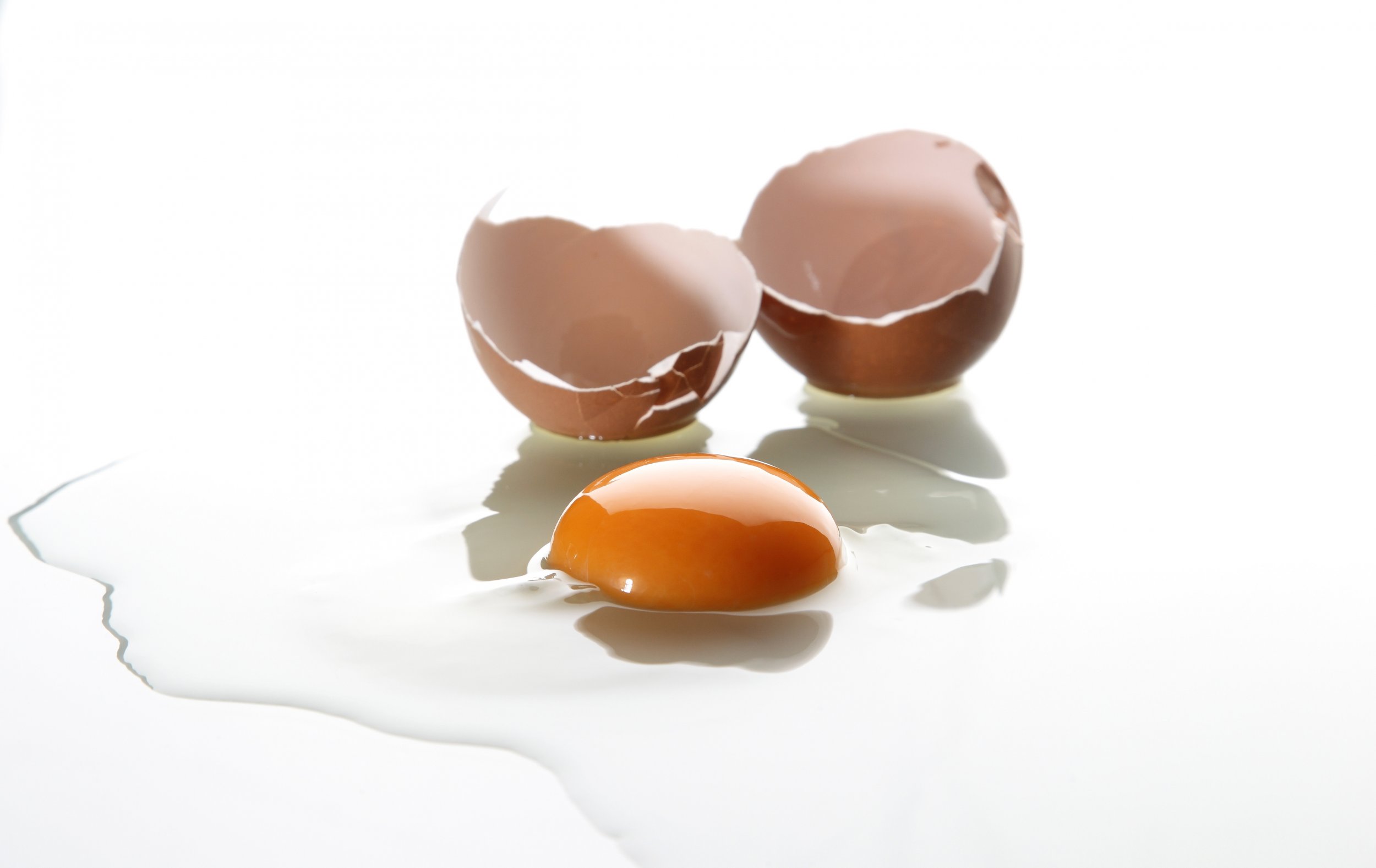 Report Even The Young Elderly Or Pregnant Can Eat Raw Eggs Uk 