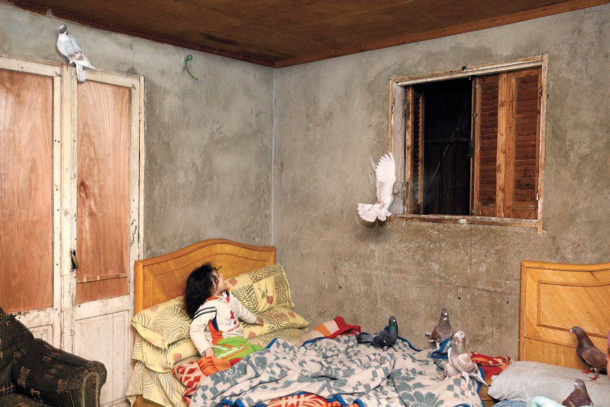 Girl in bedroom with pigeons, Egypt, 2011.