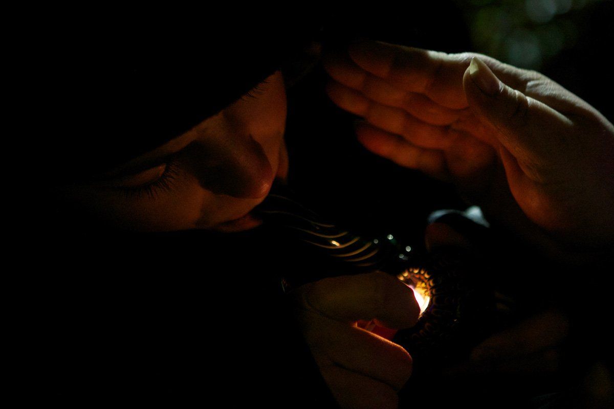 marijuana-frum-CO02-main-tease marijuana-frum-CO02-main-tease