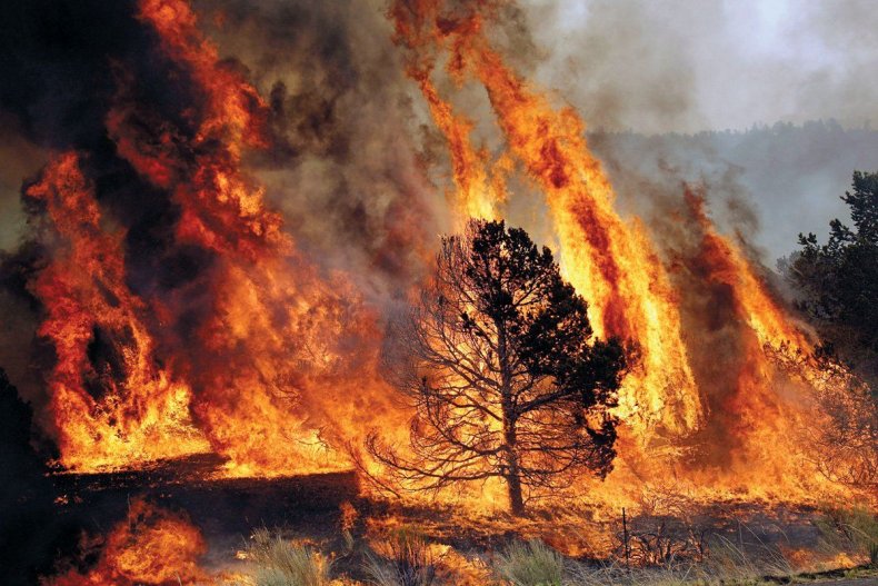 disasters-fires-FE01-third