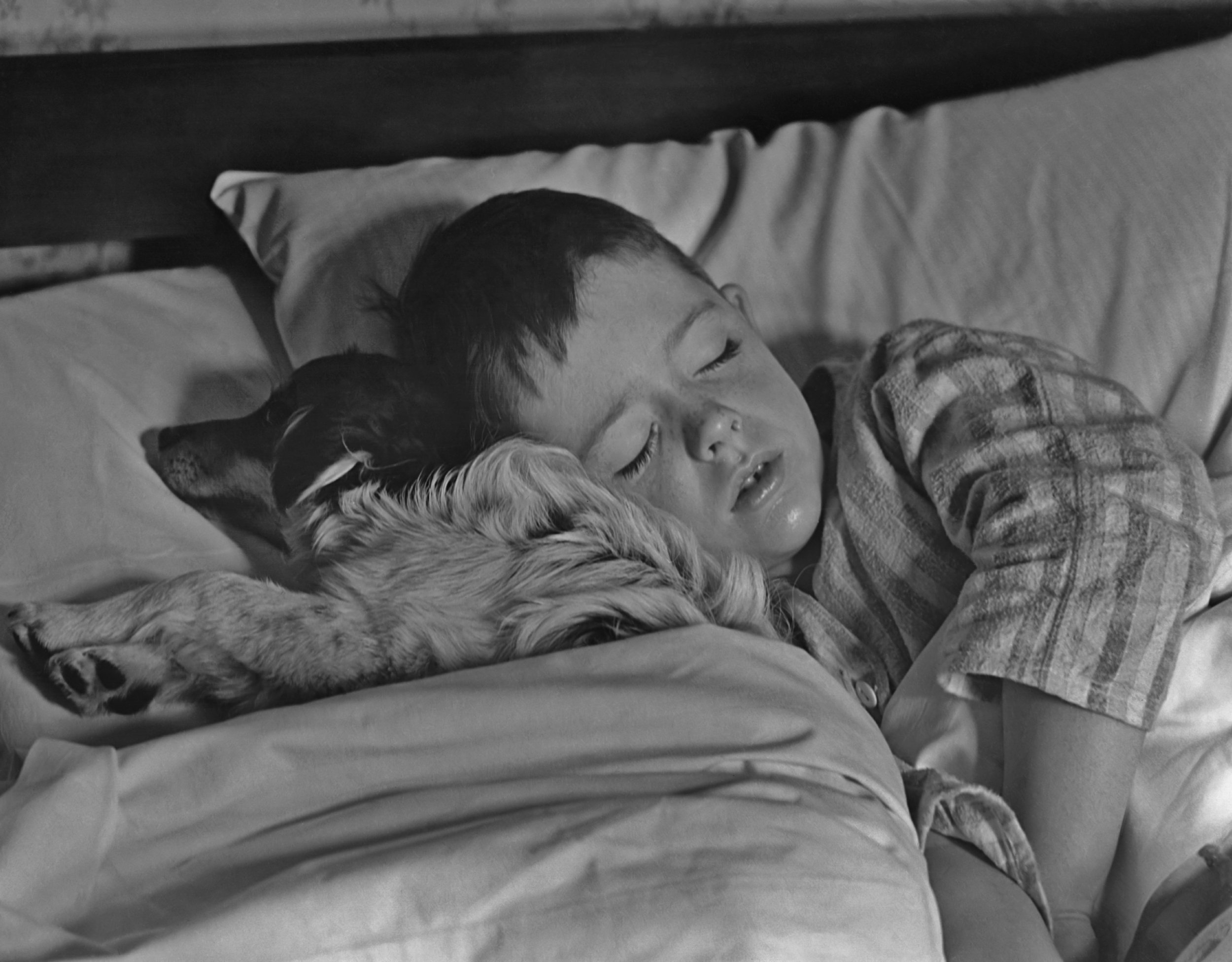 Boy asleep with dog