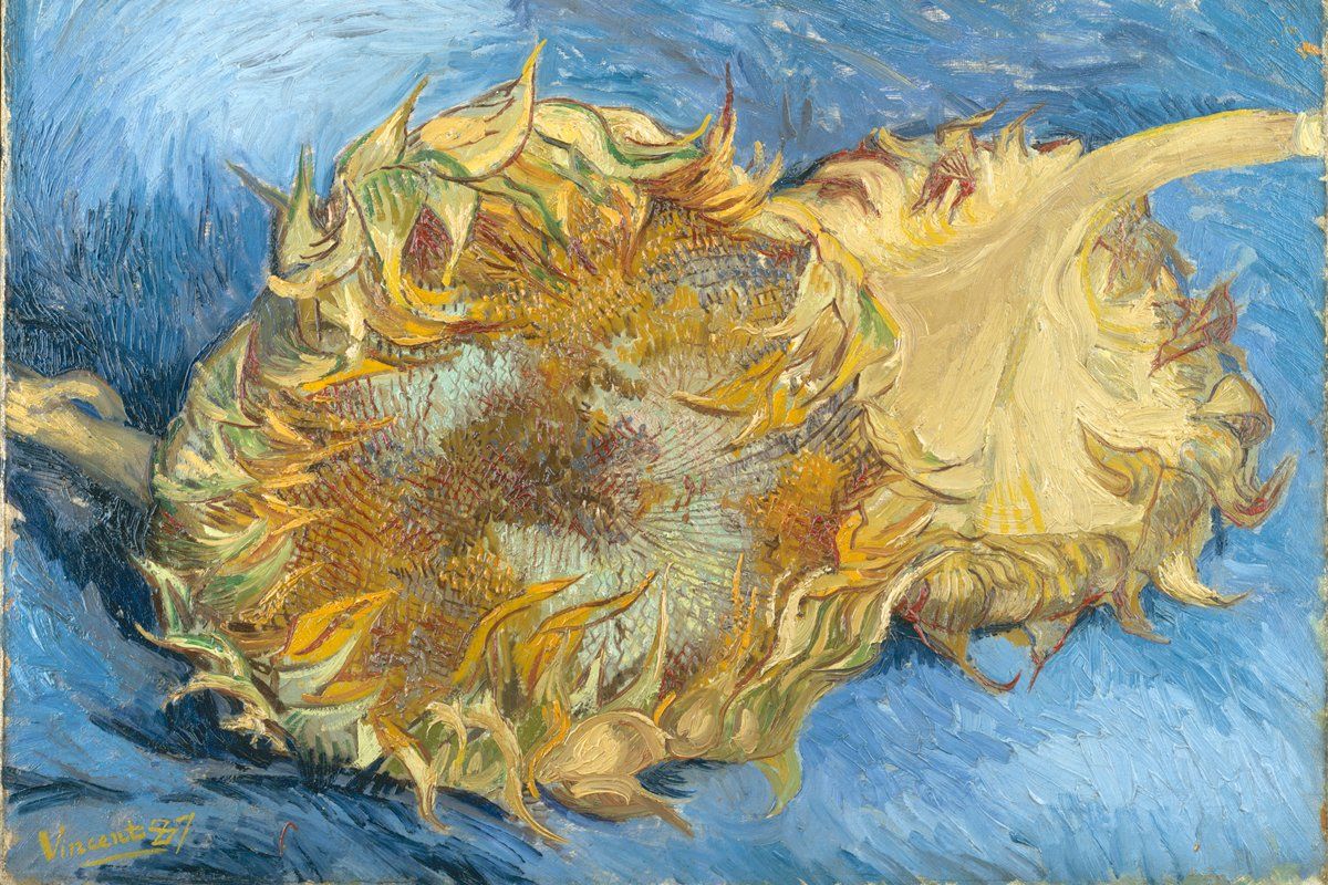 Van Gogh's Mental Health: Bipolar, Schizophrenia, or Something Else?