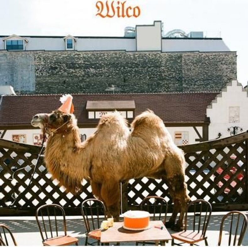 09_10_wilco_01
