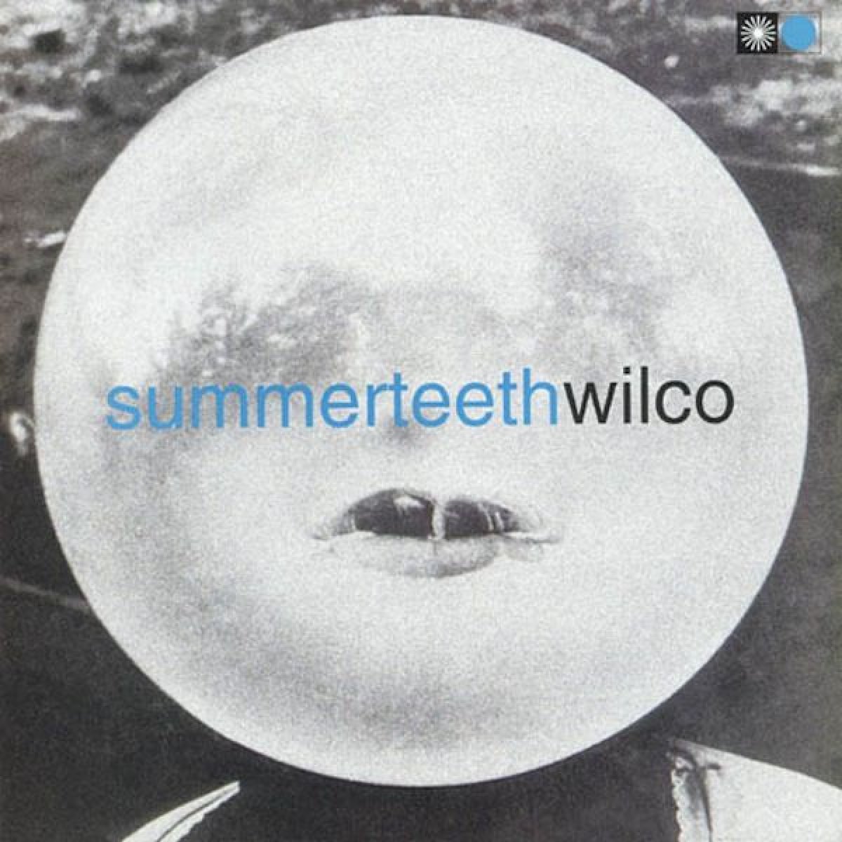 summerteeth-cover1