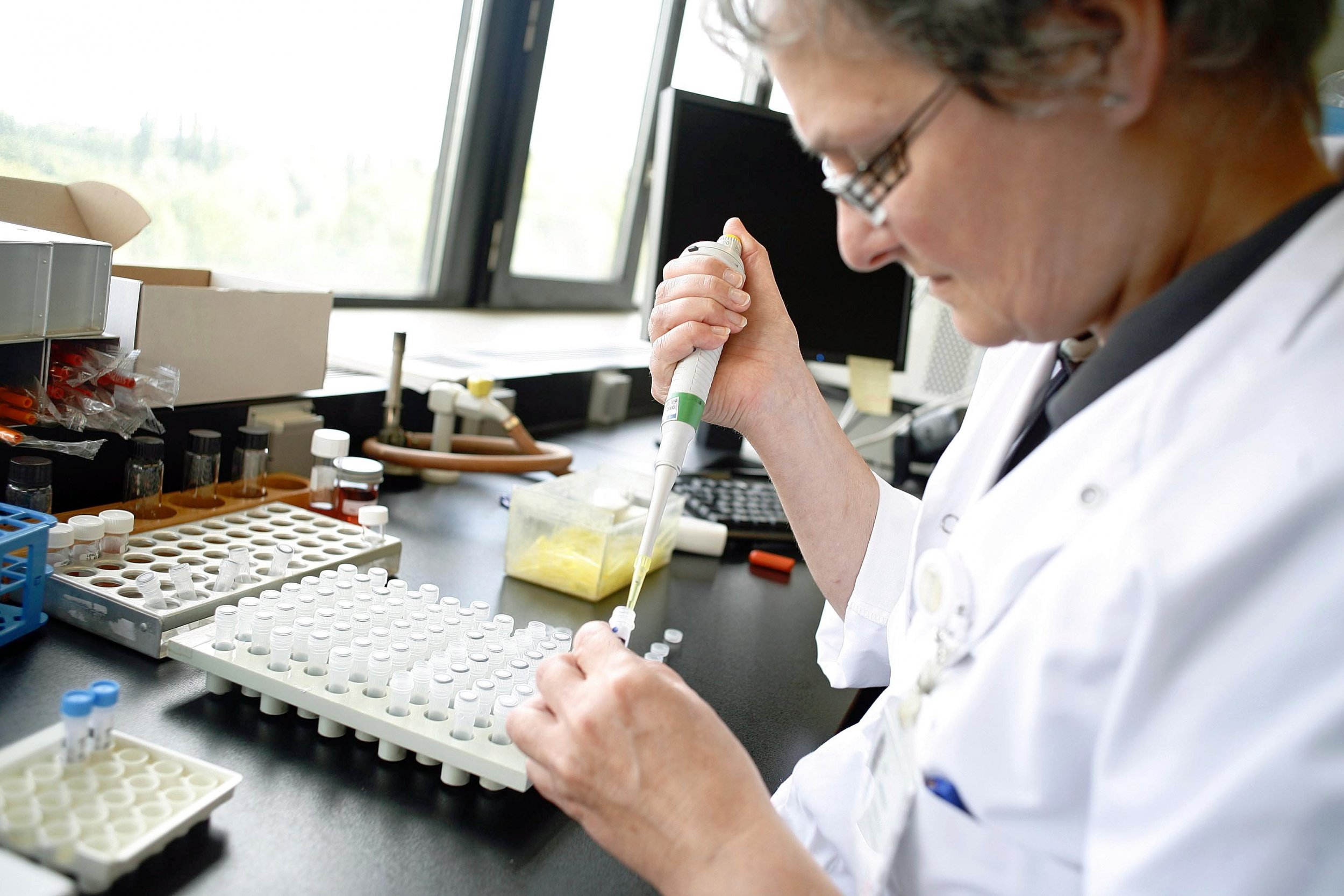 A researcher at a microbiology lab