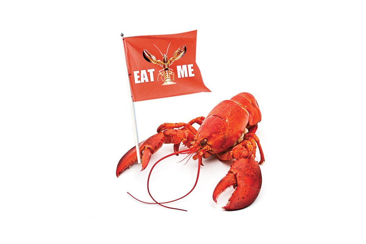 lobster-nb51
