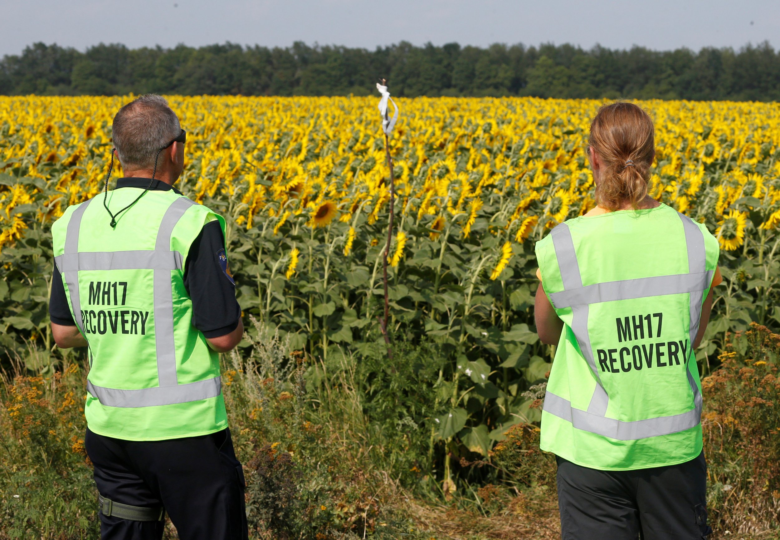 MH17 forensic experts 