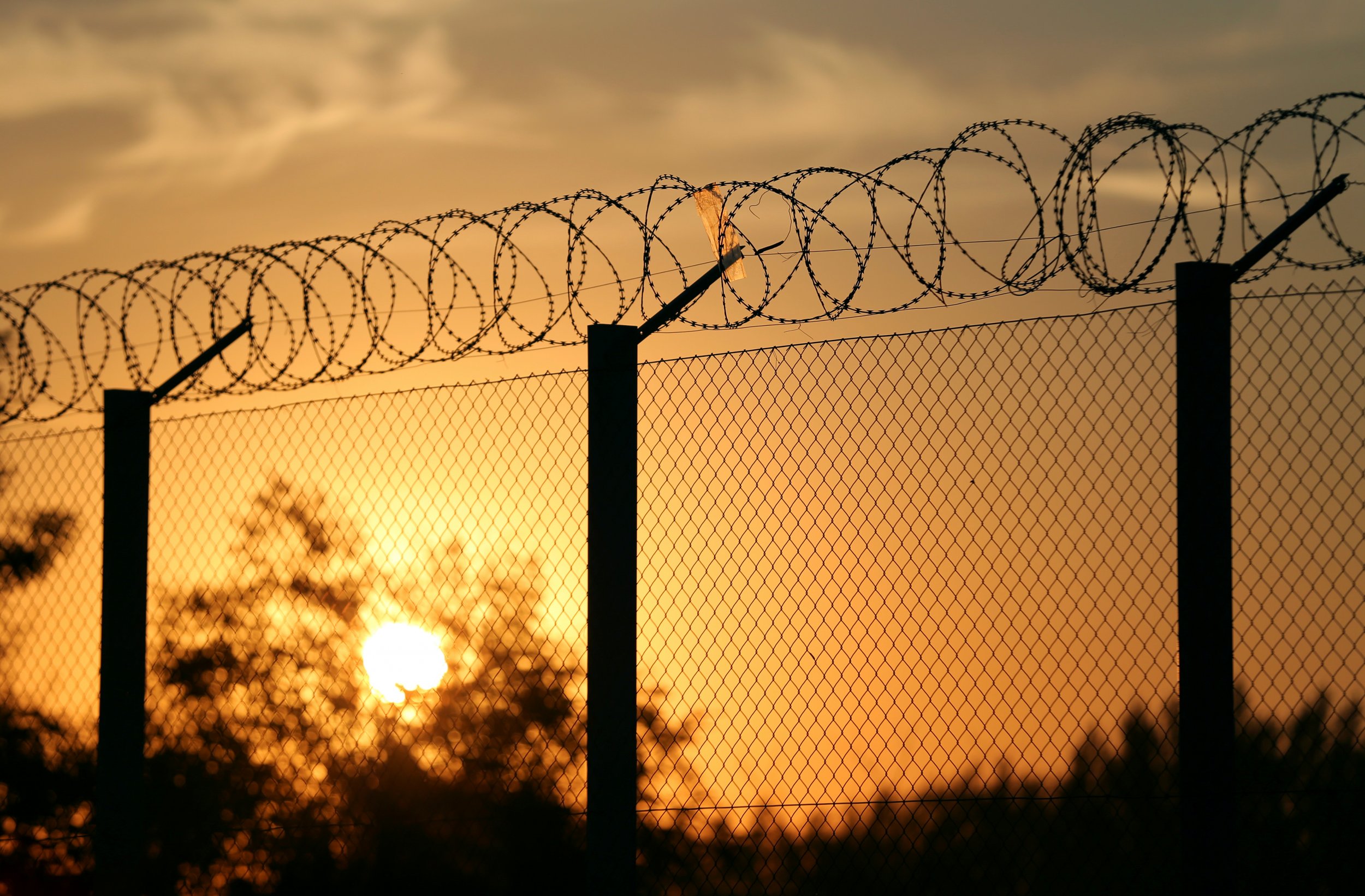 Hungary-Serbia border fence