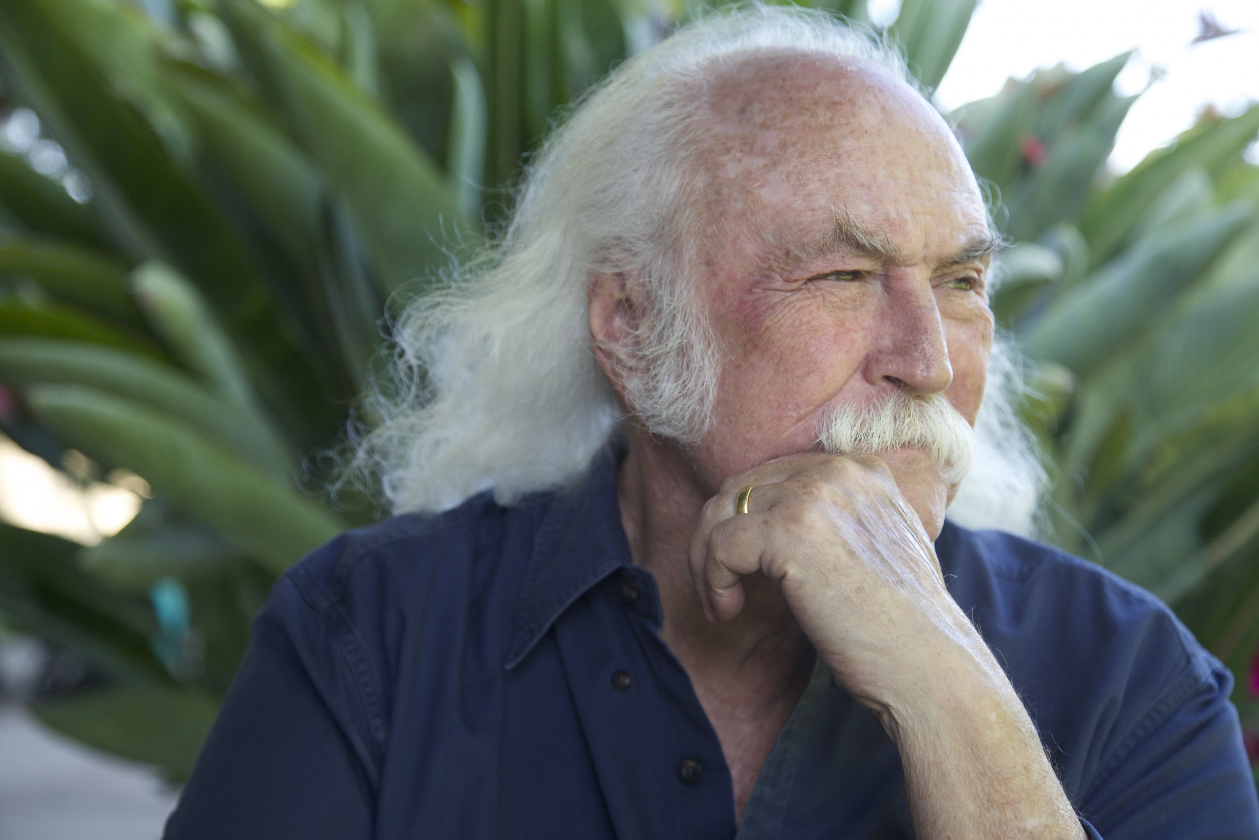 David Crosby