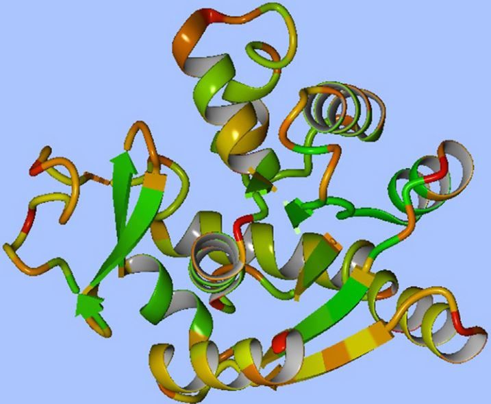 protein-structure
