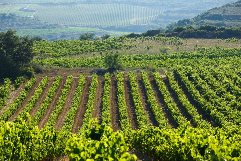 11_11_Rioja_02