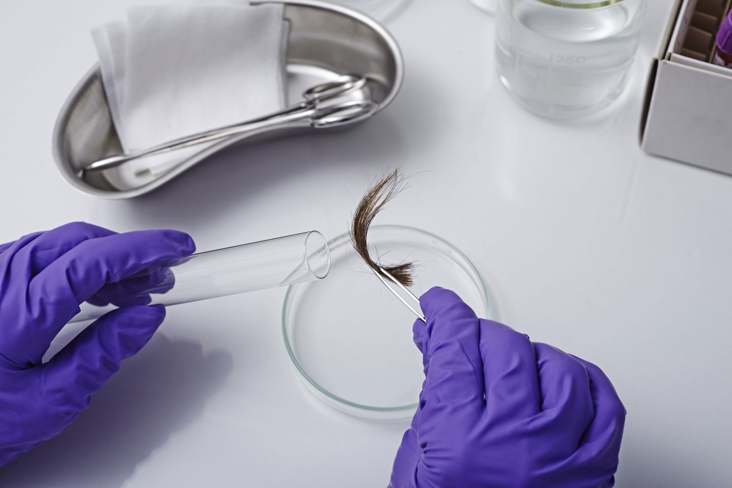 Hair Analysis Could Become an Important Alternative to DNA Testing