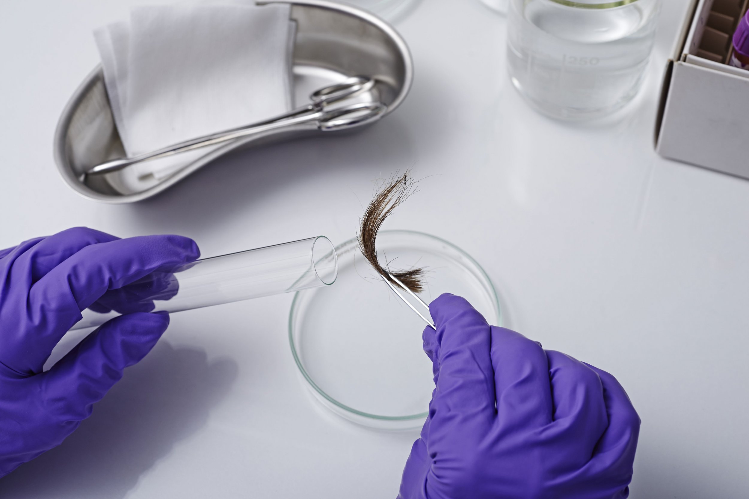 hair-analysis-could-become-an-important-alternative-to-dna-testing