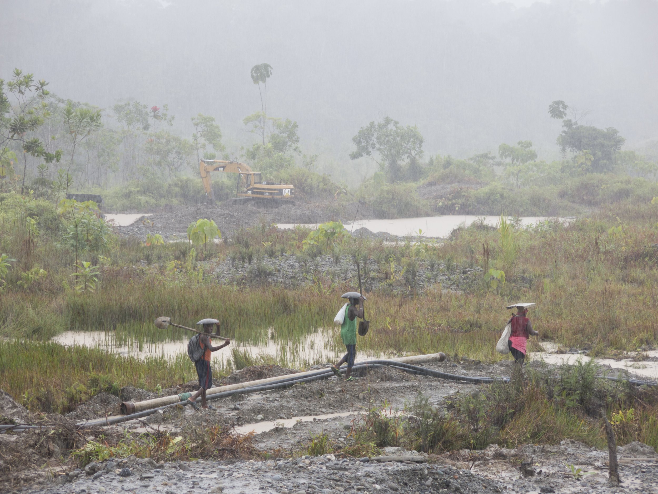 Combating Illegal Gold Mining in the  Rainforest With Maxar's…