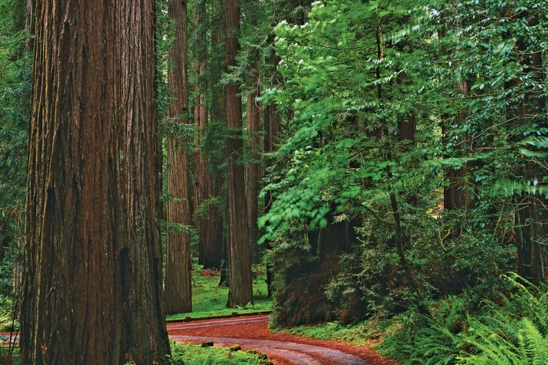 31-ways-get-smarter-weekend-getaway
