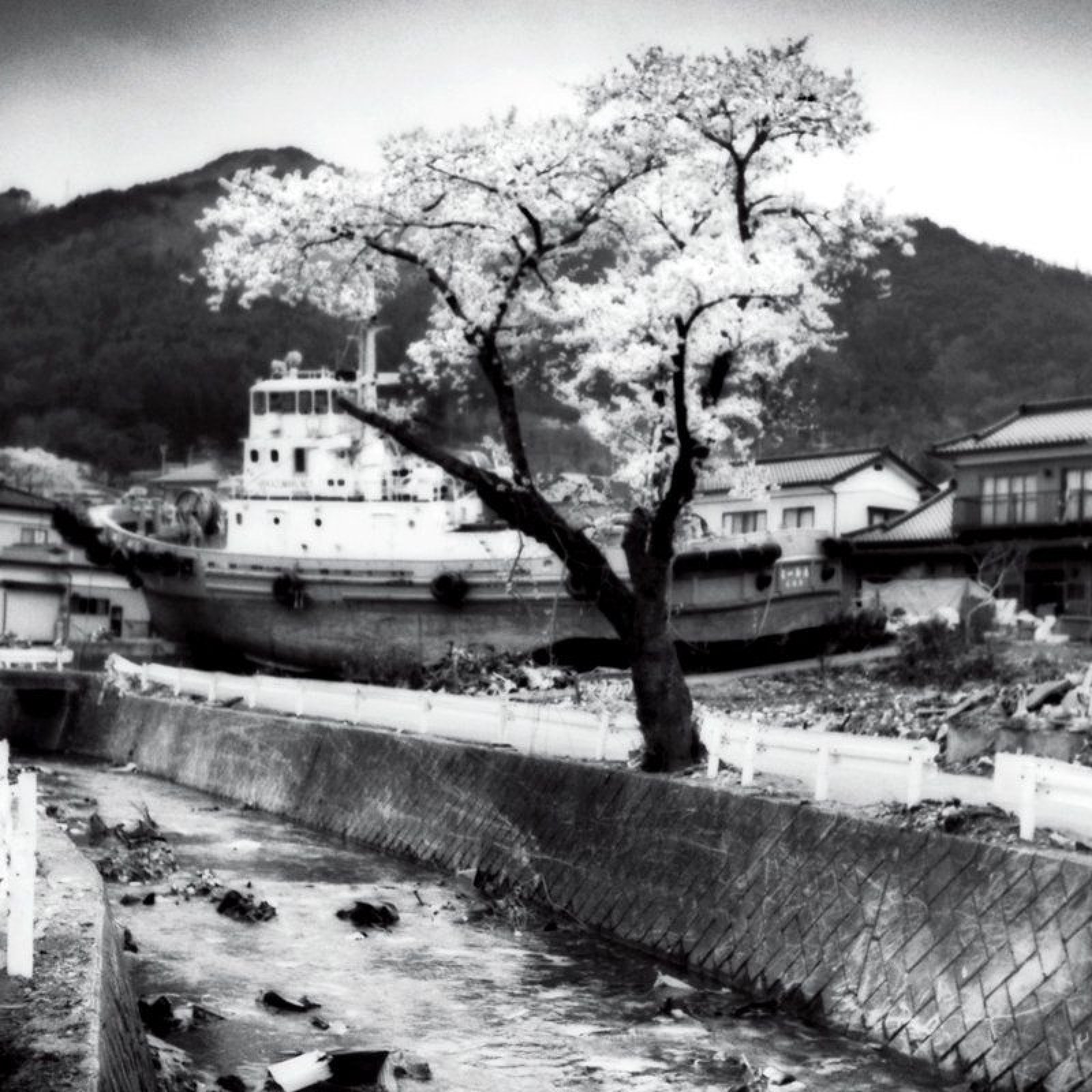 Japan After The Tsunami Little Has Changed