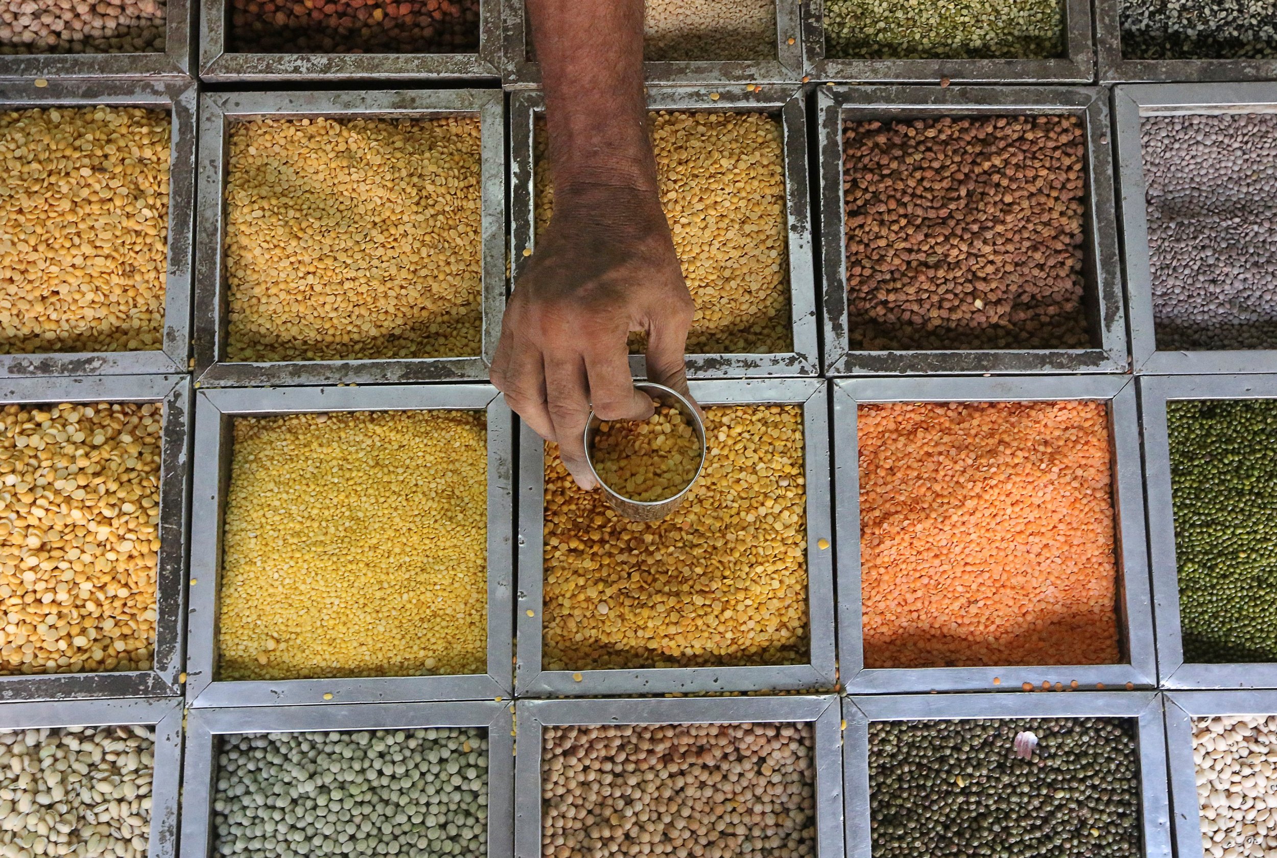 Lentils on display