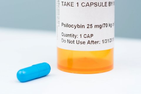 Psilocybin-Pill Form