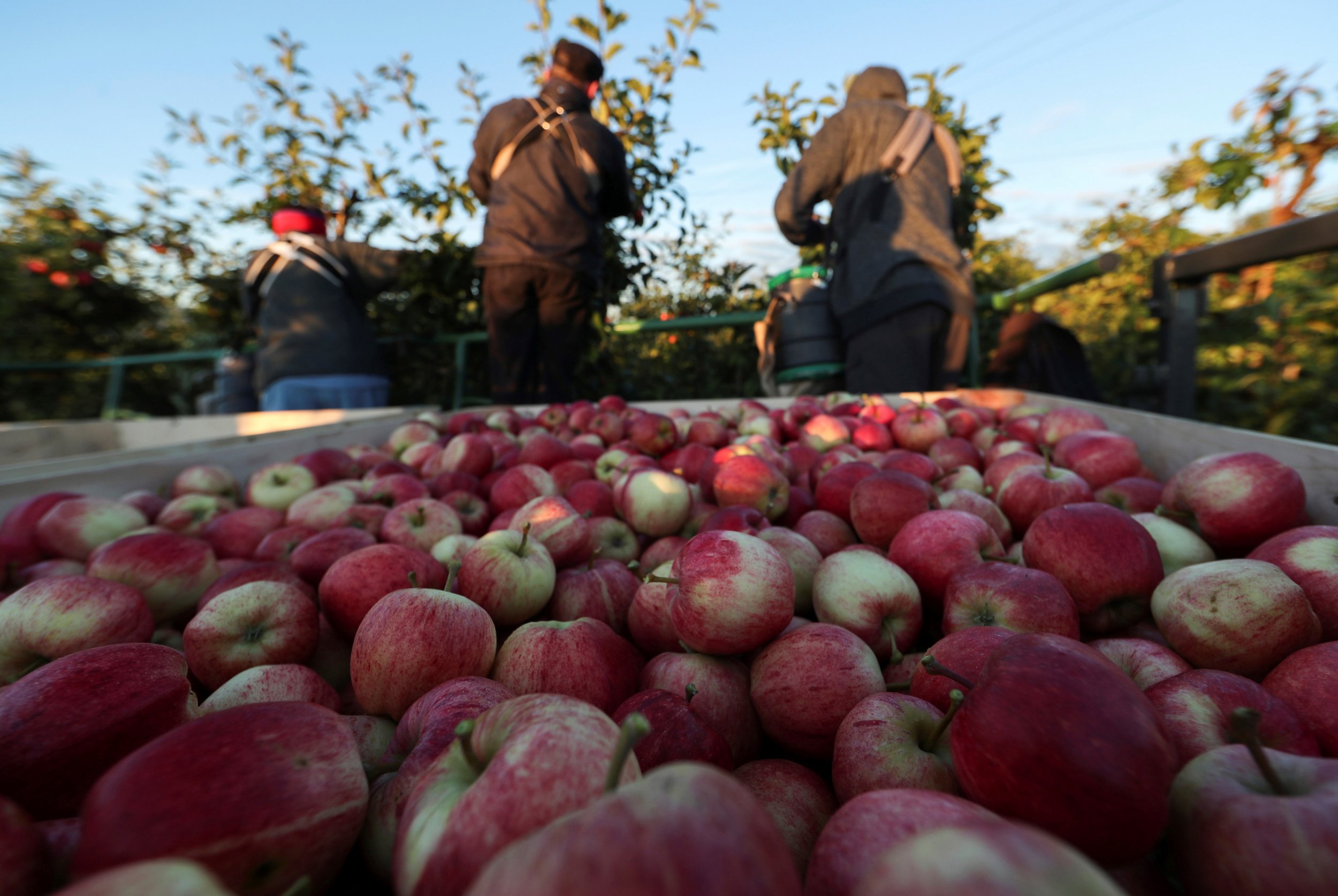 Migrant Farm Workers