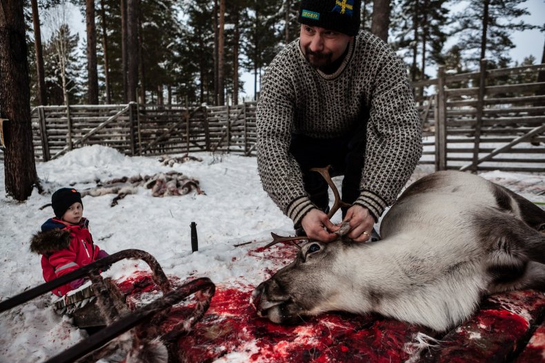 12_30_Reindeer_02