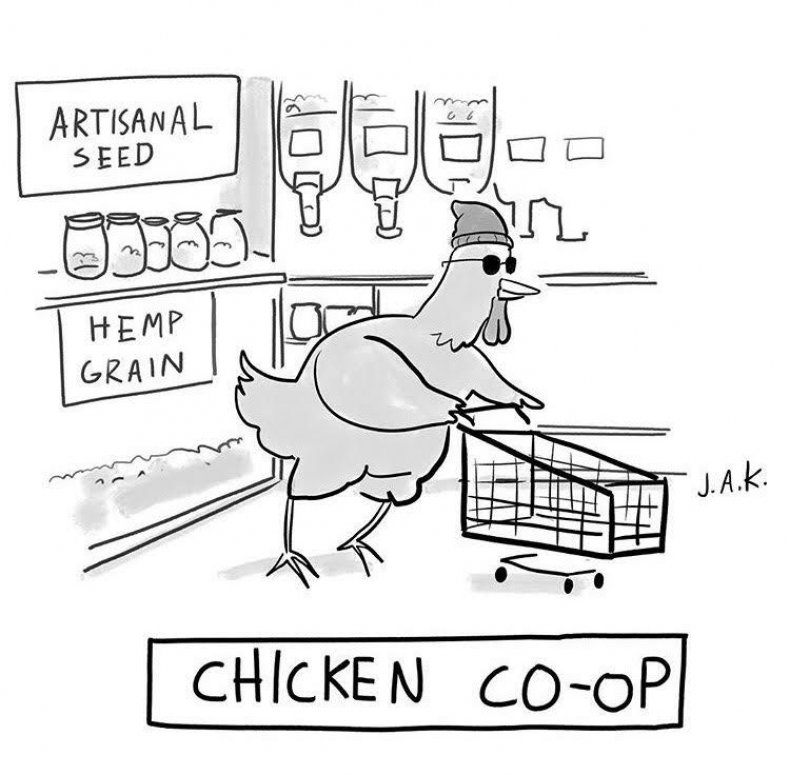 Chicken co-op