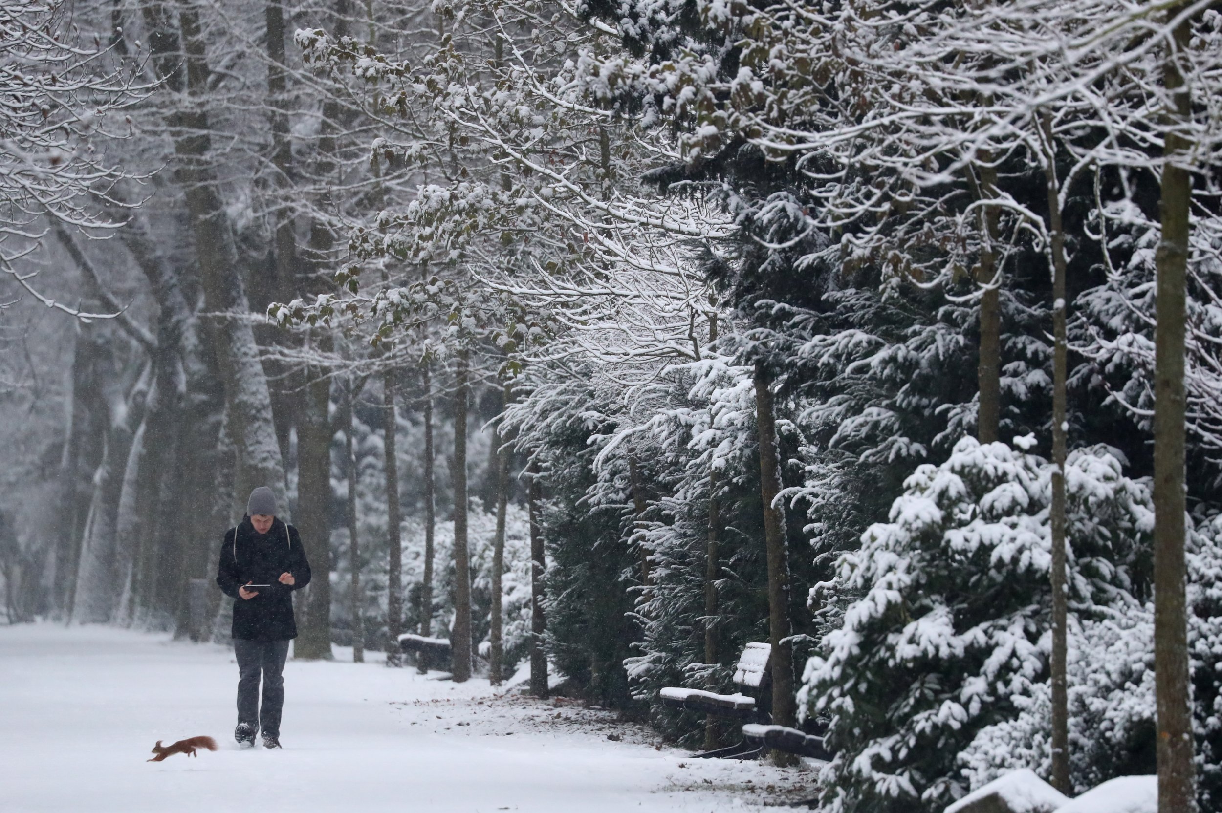 Man in cemetery