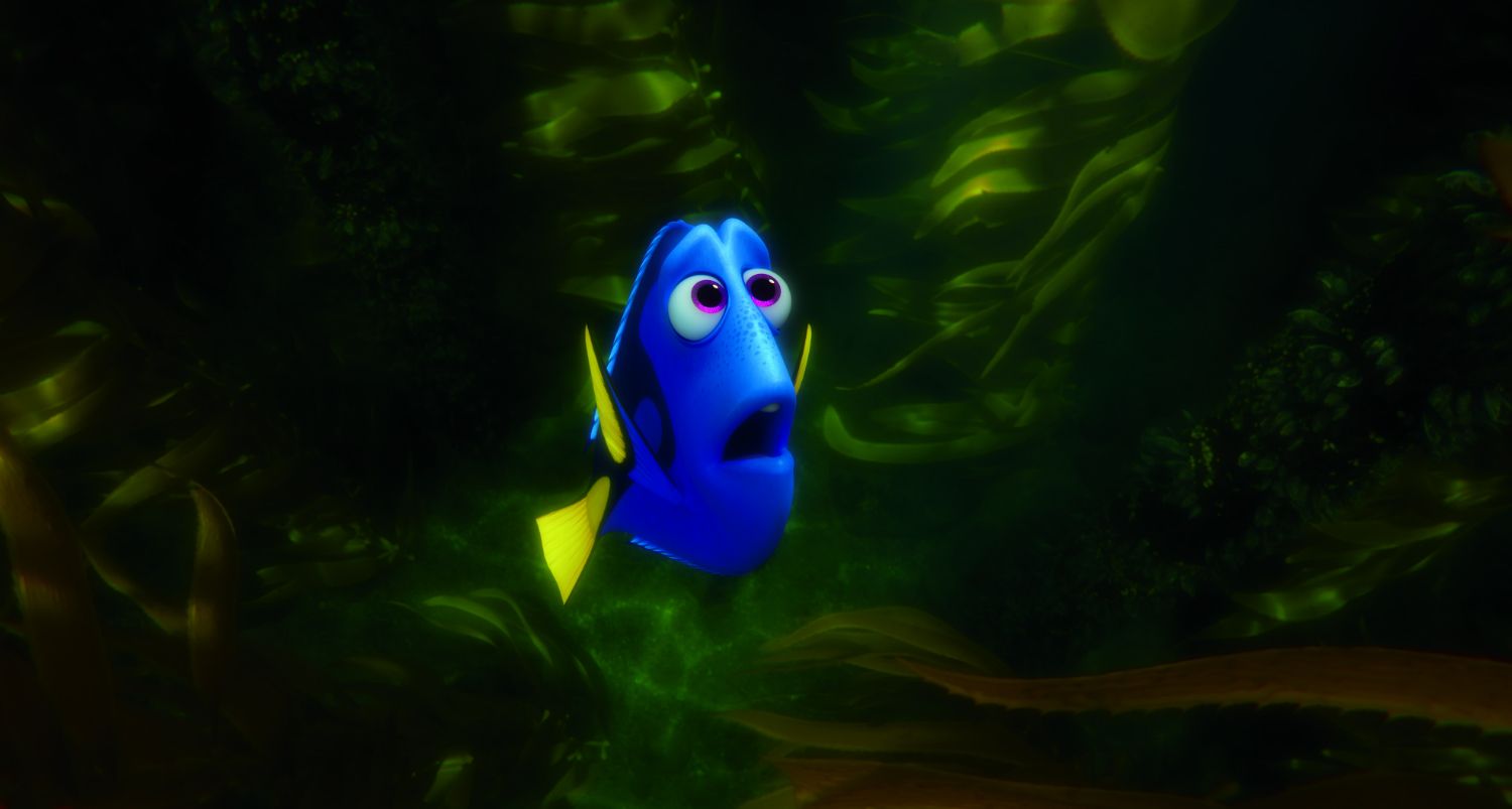 Finding Dory