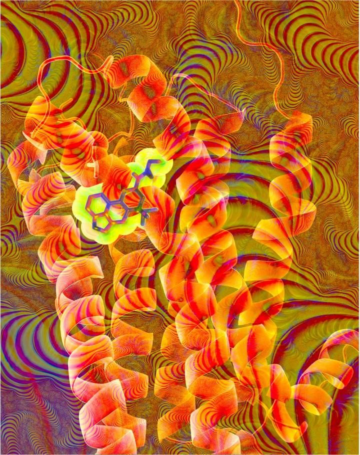 lsd-receptor