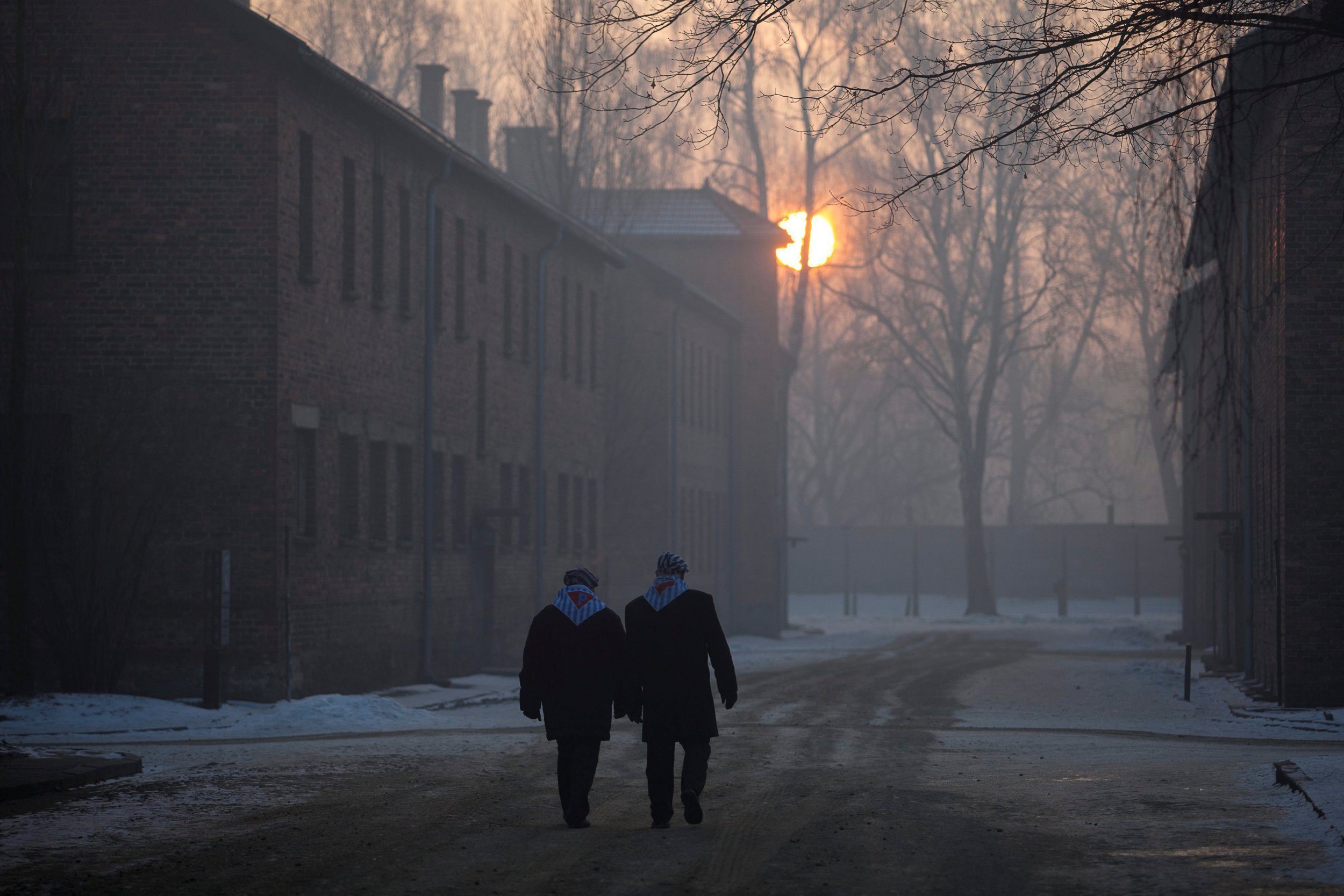 Holocaust survivors in Auschwitz 2017