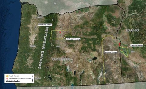 oregon-creeping-bentgrass-map