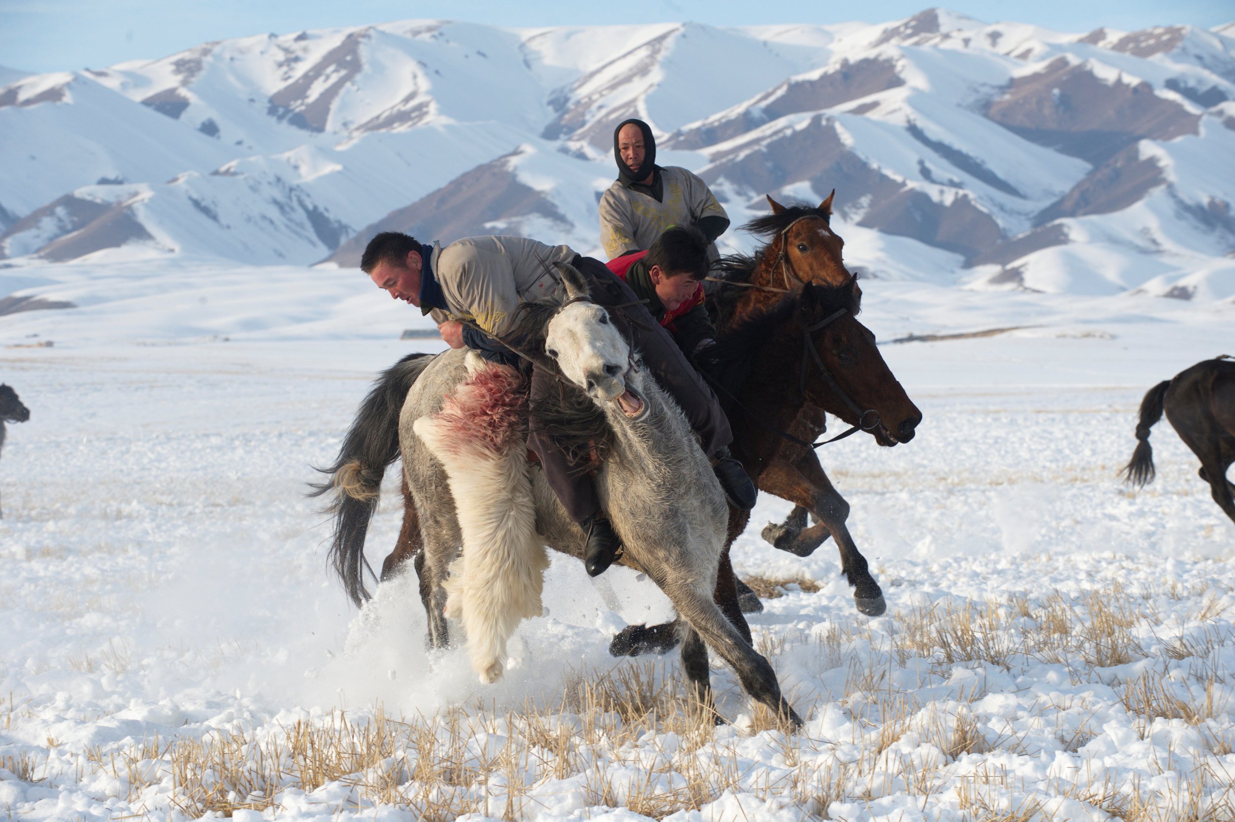 Herders riding in the snow