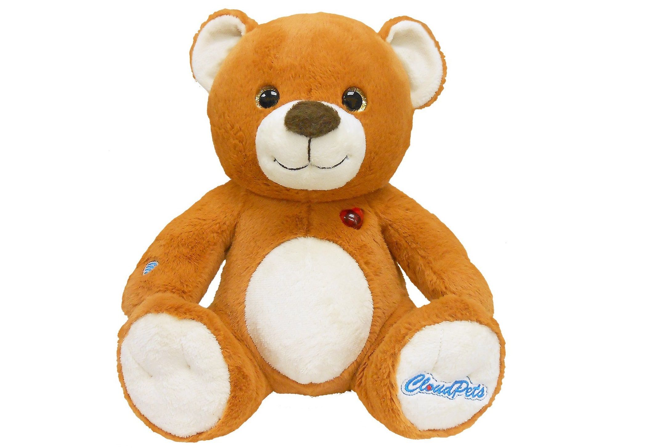 teddy bear with voice recording of loved one