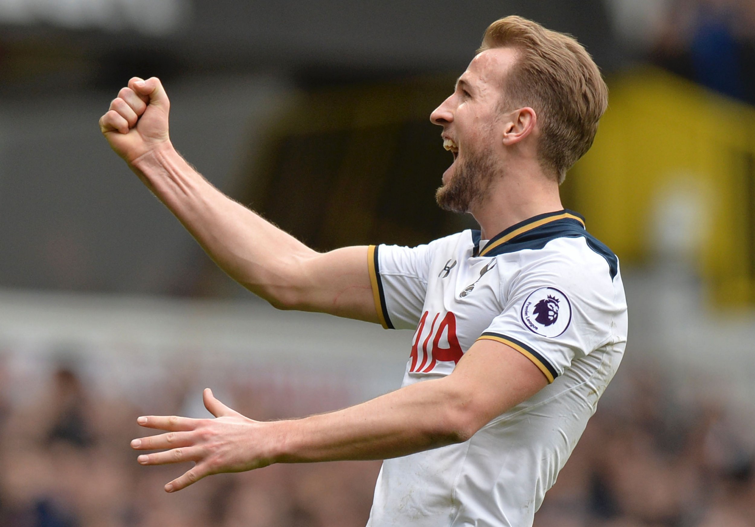 Tottenham Hotspur striker Harry Kane.