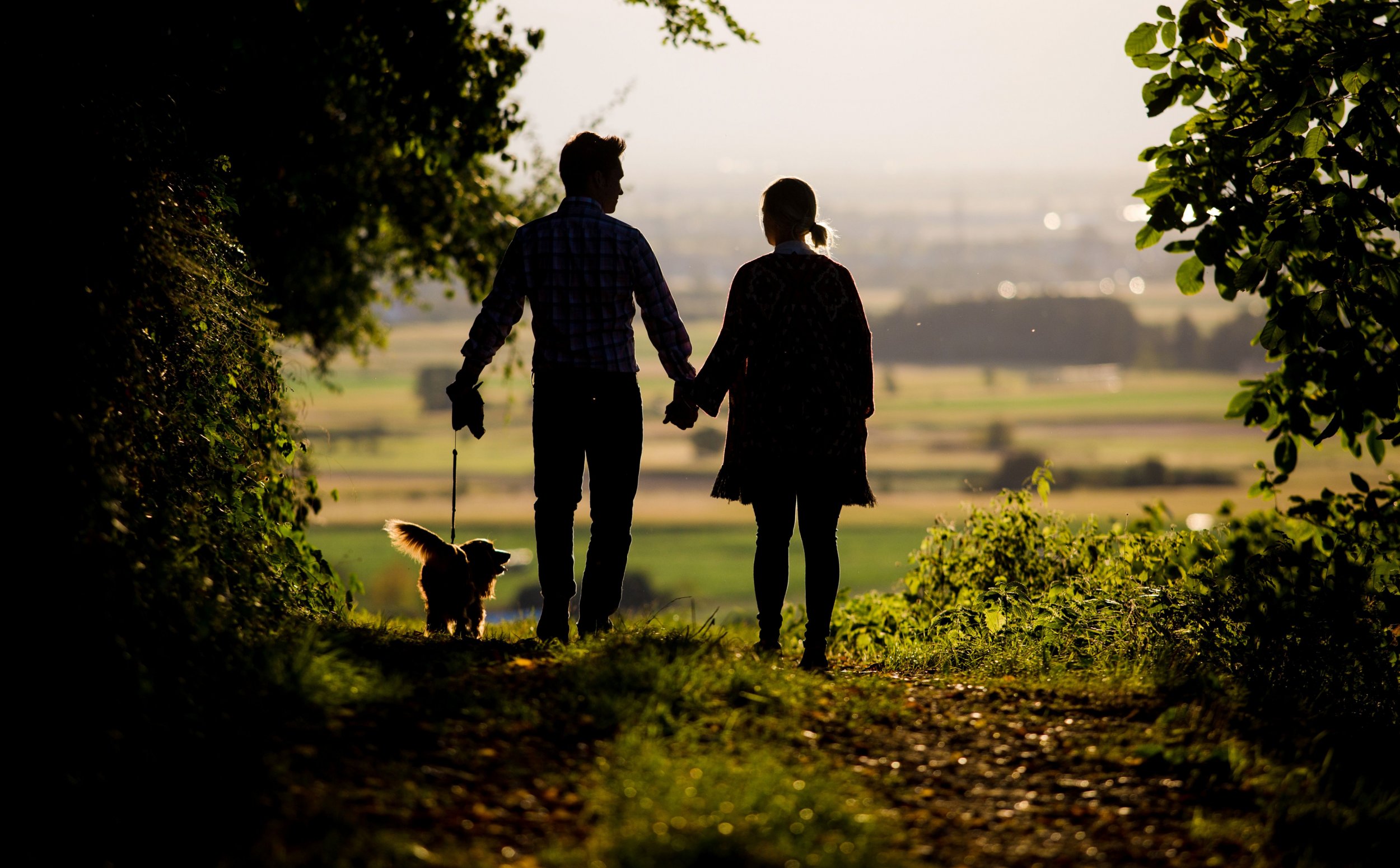 Couple holding hands